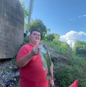 Meet your Posher, Dakota